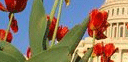 MarChuk Construction
